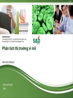 Phân tích thị trường vi mô xây dựng năng lực document type date 