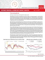 VIETNAM FM MONITOR PHÂN TÍCH BÁO CÁO THỊ TRƯỜNG TÀI CHÍNH TIỀN tệ