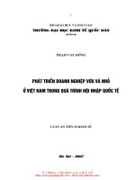 LA01 065 phát triển DNNVV ở việt nam trong quá trình hội nhập quốc tế