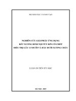Nghiên cứu giải phẫu ứng dụng kết xương đinh nội tủy kín có chốt điều trị gãy 1:3 dưới và đầu dưới xương chày (Luận án tiến sĩ)