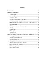 Xác định các căn nguyên thường gặp gây bệnh viêm da bàn tay bằng test áp 