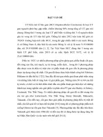 Kết quả cắt gan theo phương pháp takasaki điều trị ung thư biểu mô tế bào gan tại khoa ngoại tổng hợp bệnh viện bạch mai từ 01012019 đến 31122019 