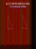 Bài giảng Hình học 7 chương 2 bài 8: Các trường hợp bằng nhau của tam giác vuông