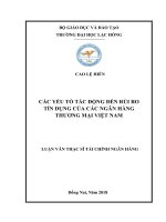 Các yếu tố tác động đến rủi ro tín dụng của các ngân hàng thương mại Việt Nam