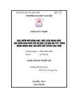 ĐẶC điểm mô BỆNH học, mối LIÊN QUAN GIỮA đột BIẾN GEN EGFR với sự bộc lộ dấu ấn TTF1 TRÊN BỆNH NHÂN UNG THƯ BIỂU mô TUYẾN của PHỔI 