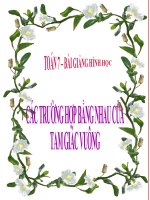 Bài giảng Hình học 7 chương 2 bài 8: Các trường hợp bằng nhau của tam giác vuông