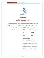 Bài tập nhóm đạt 10 điểm  QUẢN TRỊ NHÂN LỰC Trong các mô hình quản trị nguồn nhân lực đã học, anhchị thấy mô hình nào phù hợp nhất với thực tiễn quản trị nhân sự ở Việt Nam hiện nay, tại sao? Nếu áp dụng trong tổ chức của mình, theo anhchị cần điều chỉnh 