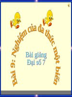 Bài giảng Đại số 7 chương 4 bài 9: Nghiệm của đa thức một biến