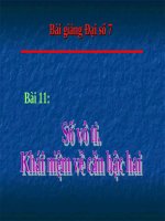 Bài giảng Đại số 7 chương 1 bài 11: Số vô tỉ. Khái niệm về căn bậc hai