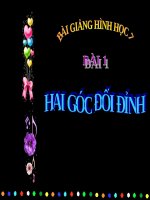 Bài giảng Hình học 7 chương 1 bài 1: Hai góc đối đỉnh