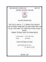 BƯỚC đầu ĐÁNH GIÁ tác DỤNG của CRILIN t lên sự BIỂU HIỆN một số GEN SINH UNG THƯ và ức CHẾ UNG THƯ TRÊN mô HÌNH CHUỘT NUDE MANG tế bào UNG THƯ PHỔI NGƯỜI 