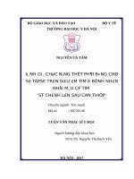 ĐÁNH GIÁ CHỨC NĂNG THẤT PHẢI BẰNG CHỈ số TAPSE TRÊN SIÊU âm TIM ở BỆNH NHÂN NHỒI máu cơ TIM ST CHÊNH lên SAU CAN THIỆP 