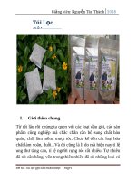 Đồ án\ túi lọc dầu gội thảo dược