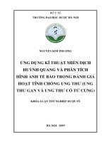 Ứng dụng kỹ thuật miễn dịch huỳnh quang và phân tích hình ảnh tế bào trong đánh giá hoạt tính chống ung thư (ung thư gan và ung thư cổ tử cung)