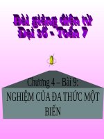 Bài giảng Đại số 7 chương 4 bài 9: Nghiệm của đa thức một biến