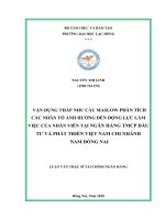 Vận dụng tháp nhu cầu Maslow phân tích các nhân tố ảnh hưởng đến động lực làm việc của nhân viên tại Ngân hàng TMCP Đầu tư và Phát triển Việt Nam Chi nhánh Nam Đồng Nai: luận văn thạc sĩ