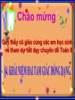 Bài giảng Hình học 8 chương 3 bài 4: Khái niệm hai tam giác đồng dạng