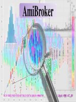 HƯỚNG dẫn cài đặt và sử DỤNG AMIBROKER