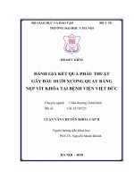 ĐÁNH GIÁ kết QUẢ PHẪU THUẬT gãy đầu dưới XƯƠNG QUAY BẰNG nẹp vít KHÓA tại BỆNH VIỆN VIỆT đức 