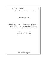 Tỉ lệ và các yếu tố liên quan đoạn chi dưới ở bệnh nhân đái tháo đường có loét chân