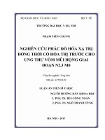 NGHIÊN cứu PHÁC đồ hóa xạ TRỊ ĐỒNG THỜI có hóa TRỊ TRƯỚC CHO UNG THƯ vòm mũi HỌNG GIAI đoạn n2,3 m0 
