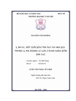 ĐÁNH GIÁ kết QUẢ điều TRỊ gây xơ hóa đầu TRONG lỗ rò XOANG lê lần 2 BẰNG ĐÔNG điện đơn cực 