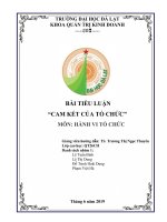 1  nhom 1 cam kết với tổ chức