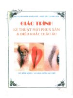 Giáo trình kỹ thuật mới phun xăm  điều khắc châu âu 