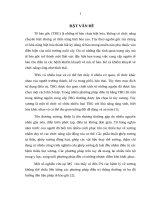 Nghiên cứu thực nghiệm áp dụng quy trình nuôi cấy và bảo quản tạo cốt bào biệt hóa từ tế bào gốc trung mô tủy xương 