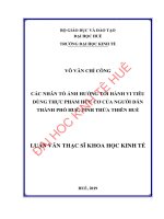 Các nhân tố ảnh hưởng tới hành vi tiêu dùng thực phẩm hữu cơ của người dân thành phố huế, tỉnh thừa thiên huế 
