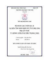 NGHIÊN cứu CHẨN đoán và điều TRỊ VIÊM NIÊM mạc tử CUNG SAU mổ lấy THAI tại BỆNH VIỆN PHỤ sản TRUNG ƯƠNG 