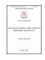 TỔNG QUAN về THUỐC y học cổ TRUYỀN TRONG điều TRỊ CHỨNG tý 