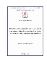 TÁC DỤNG VÔ CẢM TRONG MỔ VÀ GIẢM ĐAU SAU MỔ CỦA GÂY TÊ CẠNH CỘT SỐNG NGỰC KẾT HỢP GÂY MÊ CHO MỔ NGỰC Ở TRẺ EM