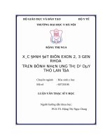 XÁC ĐỊNH đột BIẾN EXON 2,3 GEN RHOA TRÊN BỆNH NHÂN UNG THƯ dạ dày THỂ LAN tỏa 