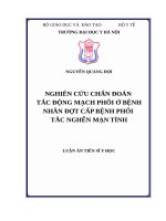 NGHIÊN cứu CHẨN đoán tắc ĐỘNG MẠCH PHỔI ở BỆNH NHÂN đợt cấp BỆNH PHỔI tắc NGHẼN mạn TÍNH 