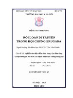 Nghiên cứu đặc điểm lâm sàng, cận lâm sàng và đột biến gen SCN5A của bệnh nhân hội chứng brugada 