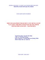 Một số giải pháp tham mưu xây dựng cơ sở vật chất trường mầm non quảng minh  thành phố sầm sơn  thanh hóa 