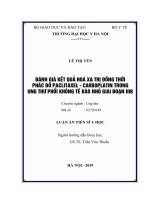 ĐÁNH GIÁ kết QUẢ HOÁ xạ TRỊ ĐỒNG THỜI PHÁC đồ PACLITAXEL   CARBOPLATIN TRONG UNG THƯ PHỔI KHÔNG tế bào NHỎ GIAI đoạn IIIB 