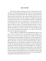 Nghiên cứu giải phẫu các vạt mạch xuyên cơ bụng chân và động mạch gối xuống 