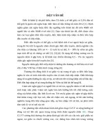 Nghiên cứu đặc điểm hình ảnh cắt lớp vi tính phân giải cao xương thái dương ở bệnh nhân nghe kém dẫn truyền 