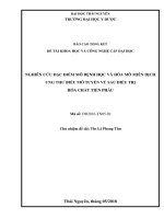 NGHIÊN CỨU ĐẶC ĐIỂM MÔ BỆNH HỌC VÀ HÓA MÔ MIỄN DỊCH UNG THƢ BIỂU MÔ TUYẾN VÚ SAU ĐIỀU TRỊ HÓA CHẤT TIỀN PHẪU