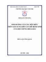 ẢNH HƯỞNG của các đột BIẾN TRÊN GEN SCN5A đến cơ CHẾ BỆNH SINH của hội CHỨNG BRUGADA 