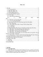 Một số biện pháp nâng cao hiệu quả hoạt động của đội trong trường tiểu học 