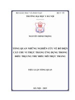 TỔNG QUAN NHỮNG NGHIÊN cứu về bờ DIỆN cắt CHU VI TRỰC TRÀNG ỨNG DỤNG TRONG điều TRỊ UNG THƯ BIỂU mô TRỰC TRÀNG 