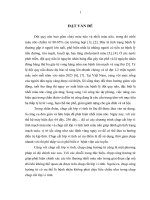 Nghiên cứu đặc điểm hình ảnh học và đánh giá hiệu quả của kỹ thuật lấy huyết khối cơ học ở bệnh nhân nhồi máu não cấp 