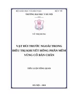 VẠT đùi TRƯỚC NGOÀI TRONG điều TRỊ KHUYẾT HỔNG PHẦN mềm VÙNG cổ bàn CHÂN 