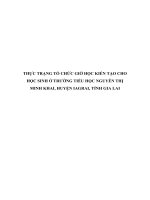 THỰC TRẠNG tổ CHỨC GIỜ học KIẾN tạo CHO học SINH ở TRƯỜNG TIỂU học NGUYỄN THỊ MINH KHAI, HUYỆN IAGRAI, TỈNH GIA LAI