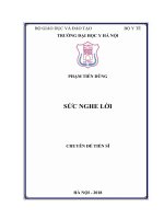 Nghiên cứu xây dựng các bảng từ thử sức nghe lời tiếng việt, ứng dụng vào việc đo sức nghe lời cho trẻ em tuổi học đường (6 15 tuổi) 