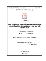 ĐÁNH GIÁ áp DỤNG BẢNG điểm MODIFIED GRAEB và IVH TRONG TIÊN LƯỢNG BỆNH NHÂN CHẢY máu não THẤT NGUYÊN PHÁT 