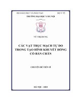 CÁC vạt TRỤC MẠCH tự DO TRONG tạo HÌNH KHUYẾT HỔNG cổ bàn CHÂN 